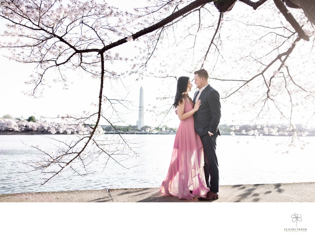 cherry-blossom-engagement-washington-dc