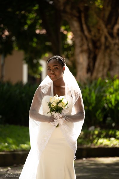 Bride Portrait wedding dress