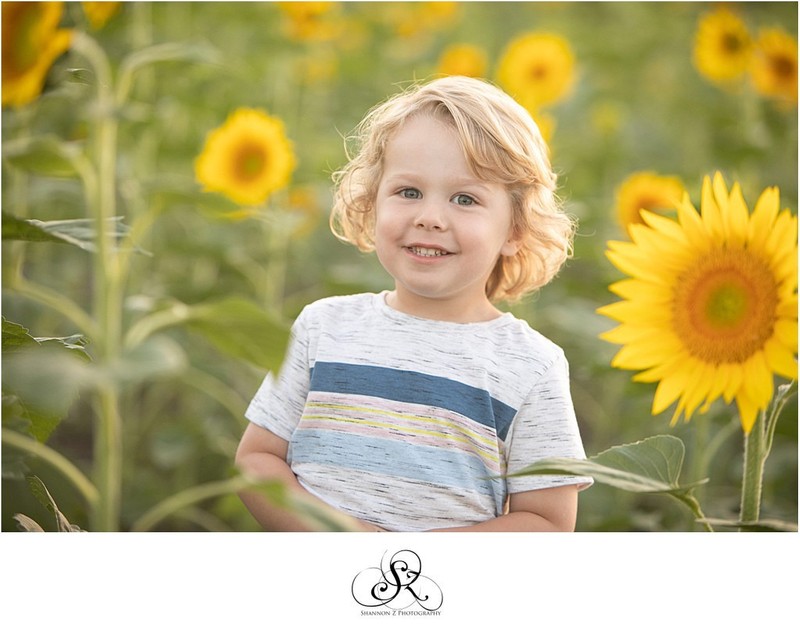 Sunflower Portraits: Family Photos