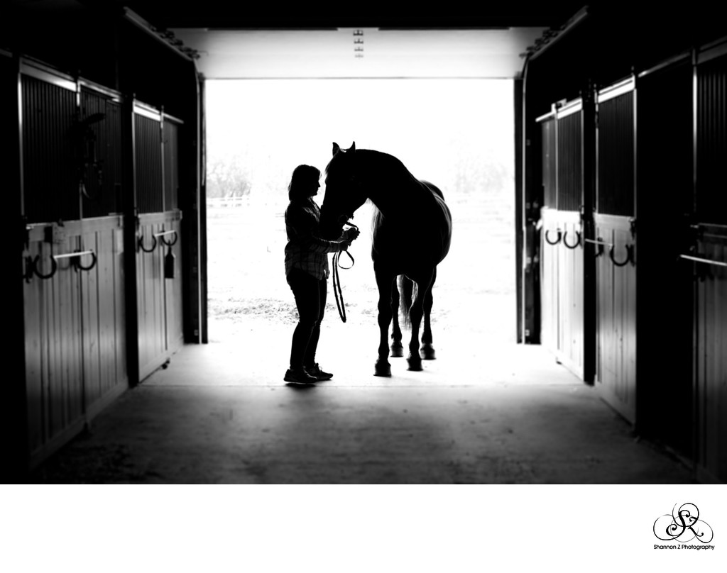 Horse Farms: Senior Photoshoots