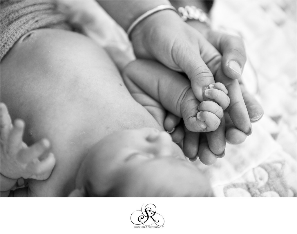 Three Hands: Newborn Photos