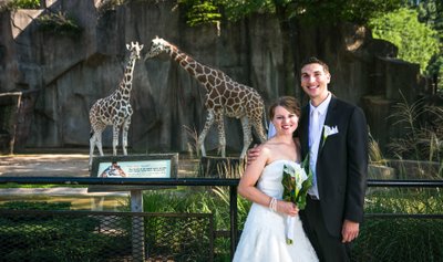 Giraffes at your Wedding: Milwaukee Zoo