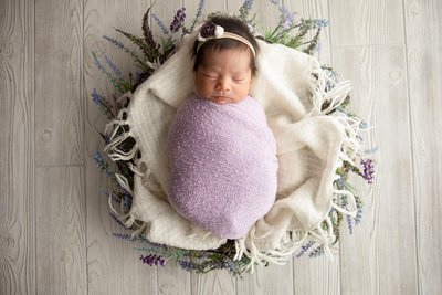 Kenosha Newborn Photographer: Lavender Props
