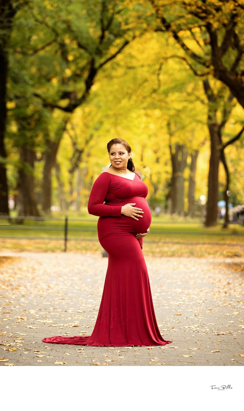 Central Park Maternity Photo Idea