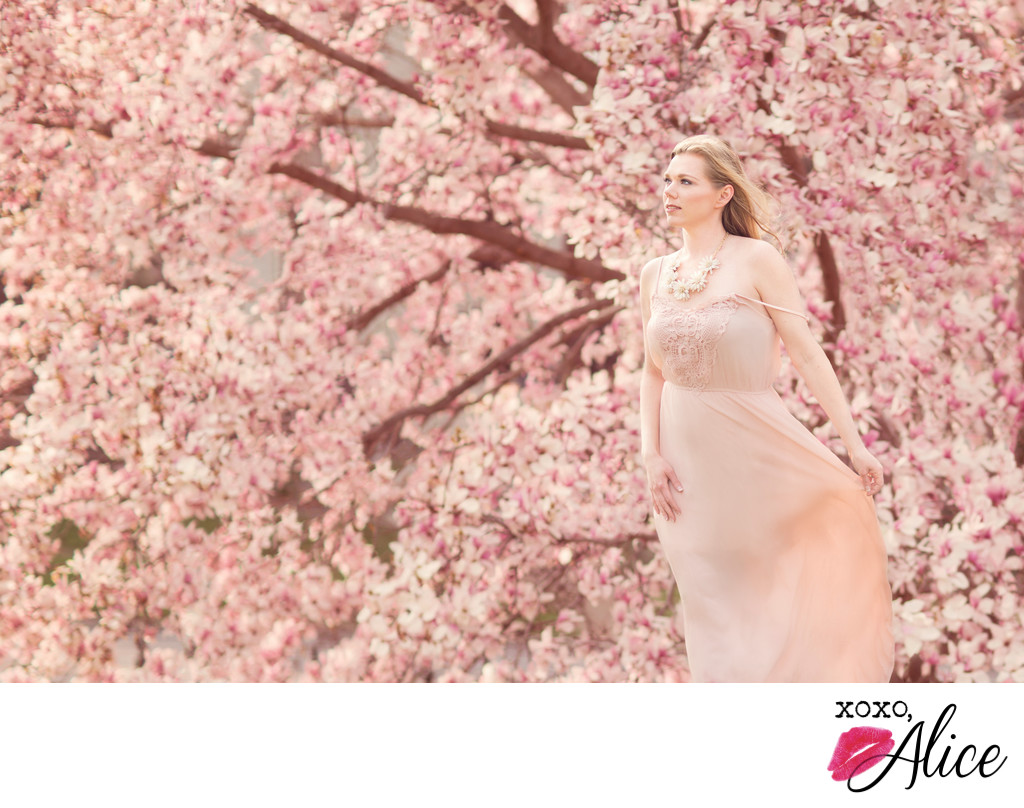 best photographer in st louis springtime magnolias