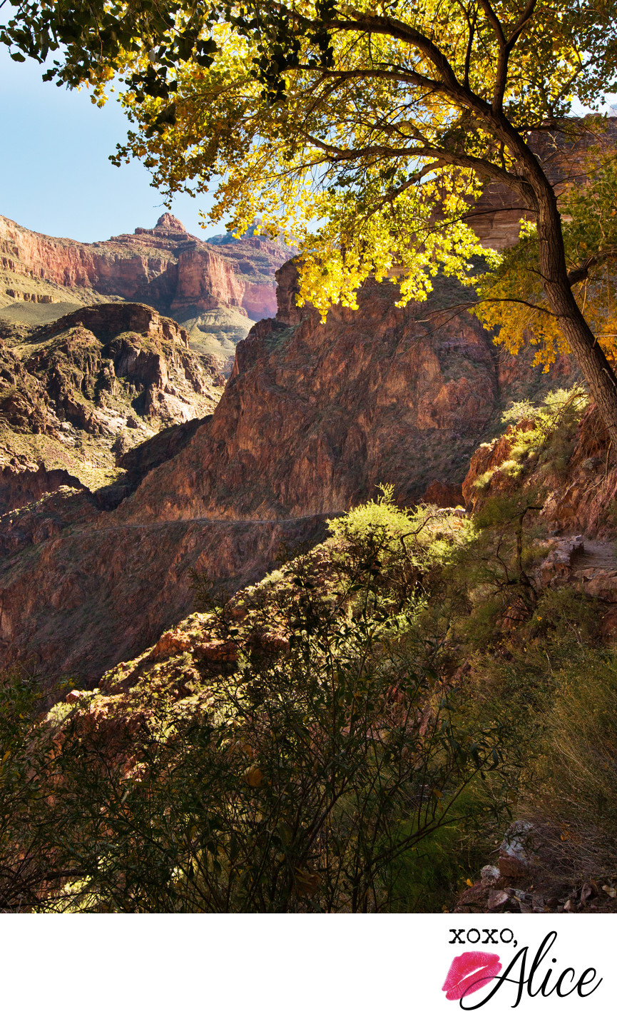 Indian Gardens in the Grand Canyon beautiful fall photo