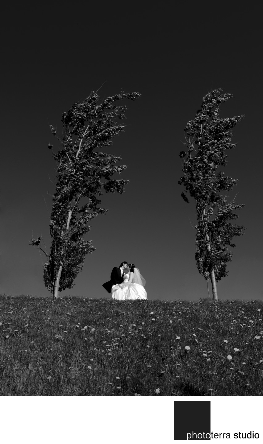 Black & White Wedding Landscape