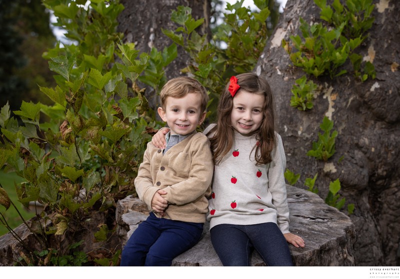 Fall Photos Outside in Malvern Fall Photos Outside in Malvern