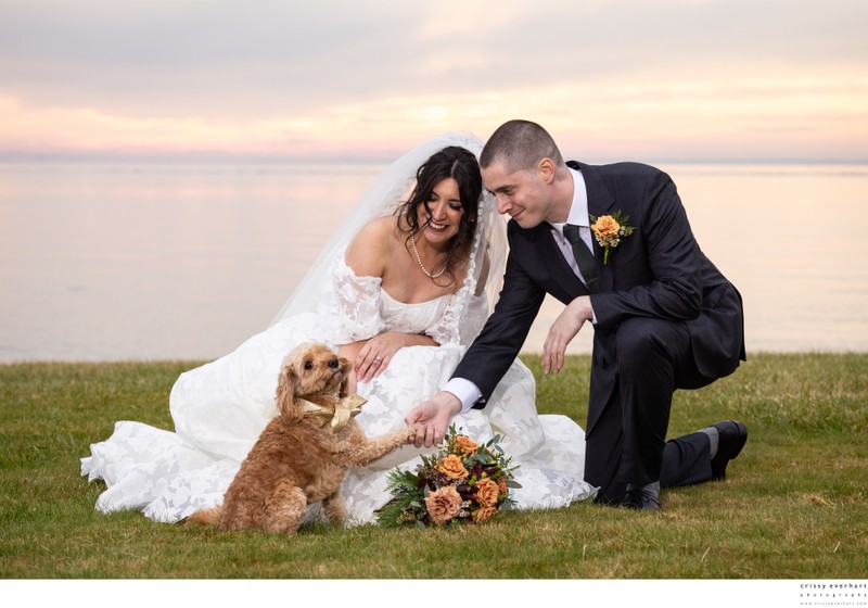 Wedding Portraits with Dog Wedding Portraits with Dog