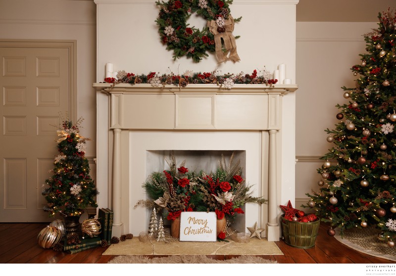 Christmas Tree Portraits 2025 Christmas Tree Portraits 2025