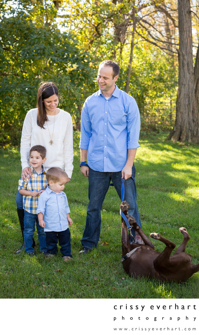 Family Portraits with Dogs - Not Always Easy! Family Portraits with Dogs - Not Always Easy!