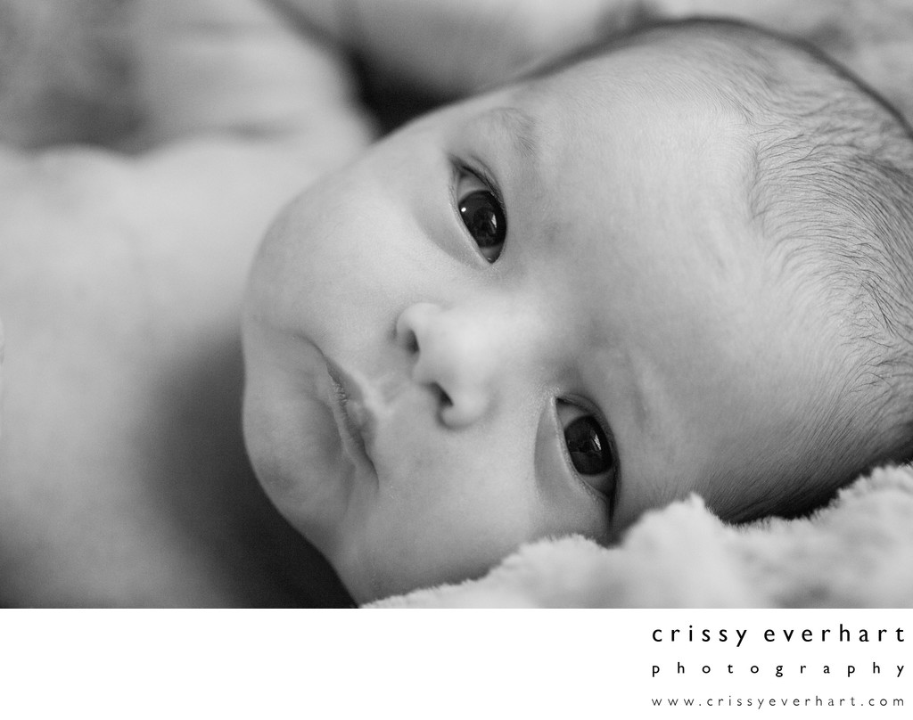 Black & White Newborn Photography - Malvern Studio