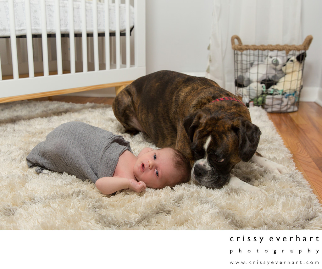 Pictures of Newborn Baby with Family Dog