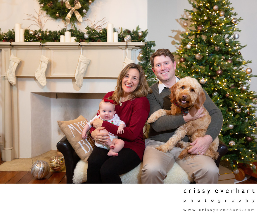 Pet-Friendly Holiday Photos in Chester County