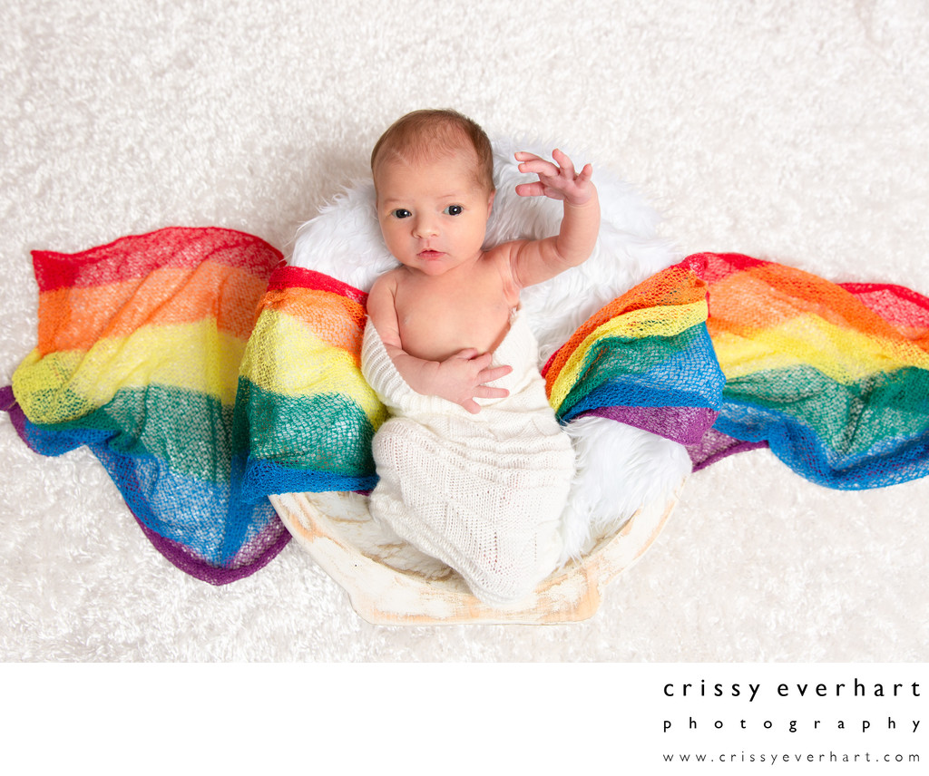 Rainbow Baby Newborn Portraits