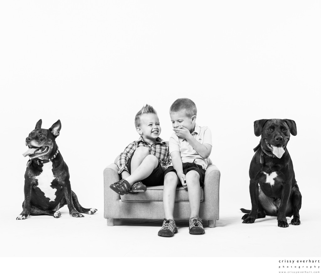 Giggling Brothers with Dogs