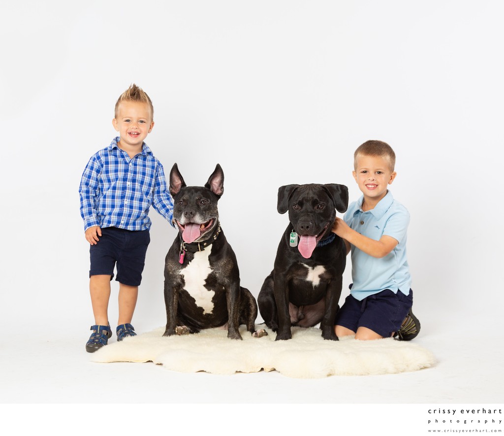 Two Boys with Two Dogs