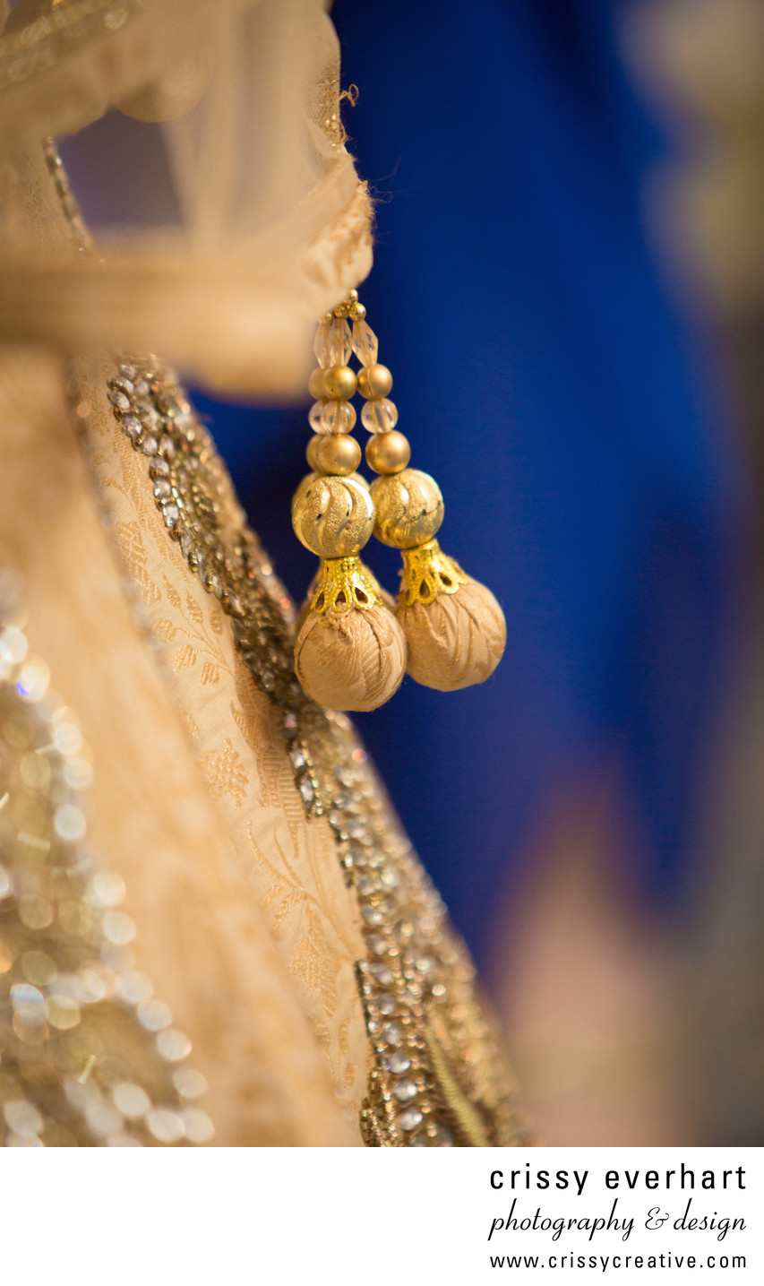 Indian Wedding Sari Details, Villanova