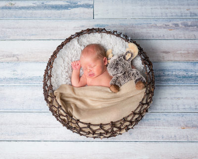 Newborn in Basket with Stuffed Animal 