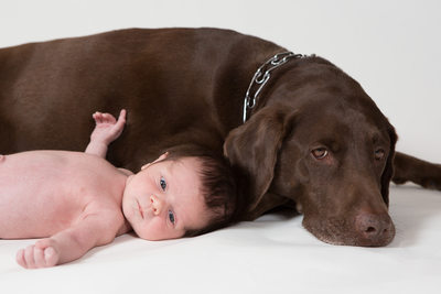 Newborn with Pet Photographer - Baby Boy with Dog