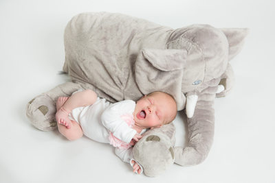 Malvern Baby Photos - Girl Yawns on Stuffed Elephant