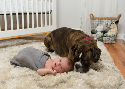 Pictures of Newborn Baby with Family Dog