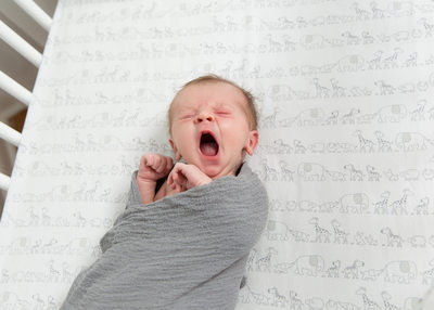 Malvern Newborn Photographer - Home Nursery Pictures