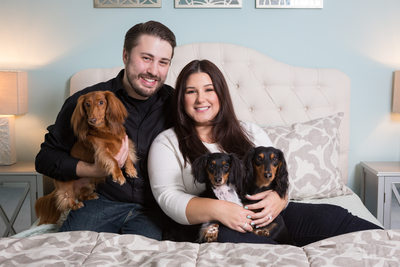 Anniversary Photos with Dachshunds - Pet Photographer
