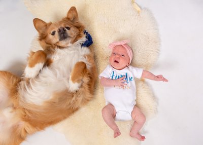 Dog and Newborn Baby