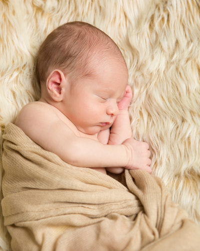 Sleeping Baby on Fuzzy Blanket - Newborn Portraits