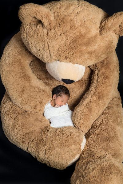 Newborn Photos- Boy Asleep in Oversized Teddy Bear