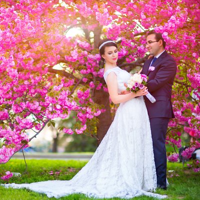 Washington DC Cherry Blossoms Wedding Photos