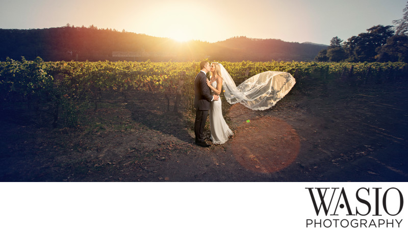 Napa Valley Wedding Photographer Napa Valley Wedding Photographer