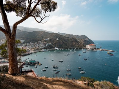 Avalon Bay Vista: Capturing the Essence of Catalina Island's Beauty
