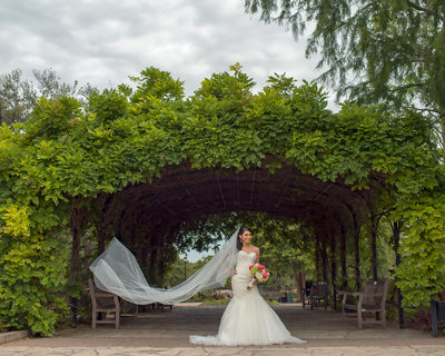 San Antonio Botanical Gardens Weddings
