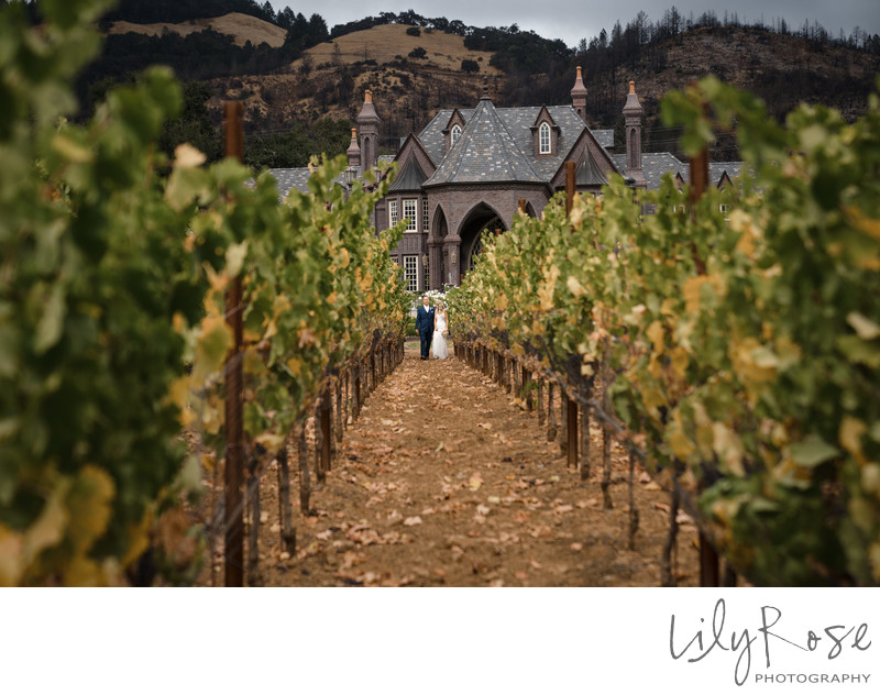 Ledson Winery Romantic Scenic Photography