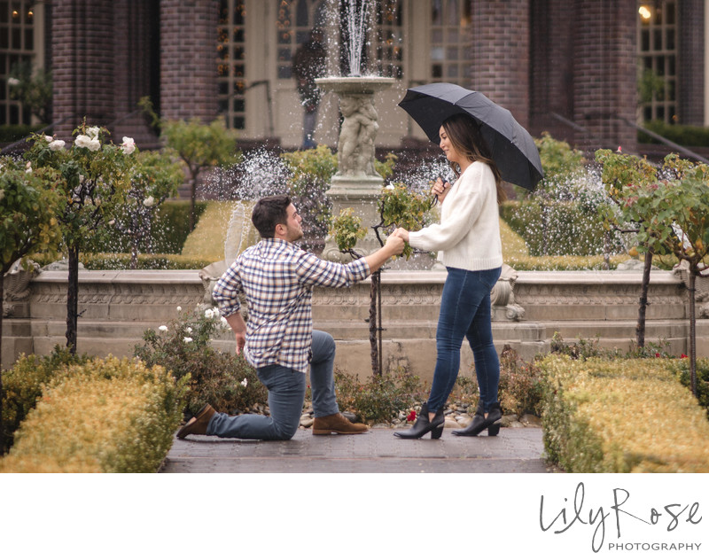 The Wedding Proposal at Ledson Winery