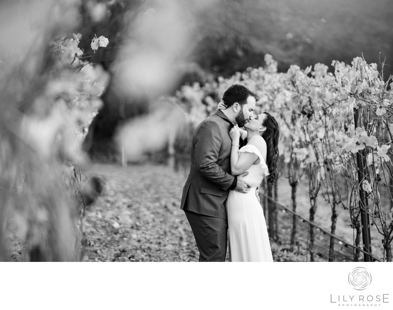 Bride and Groom in Vineyard at Micro Wedding Sonoma