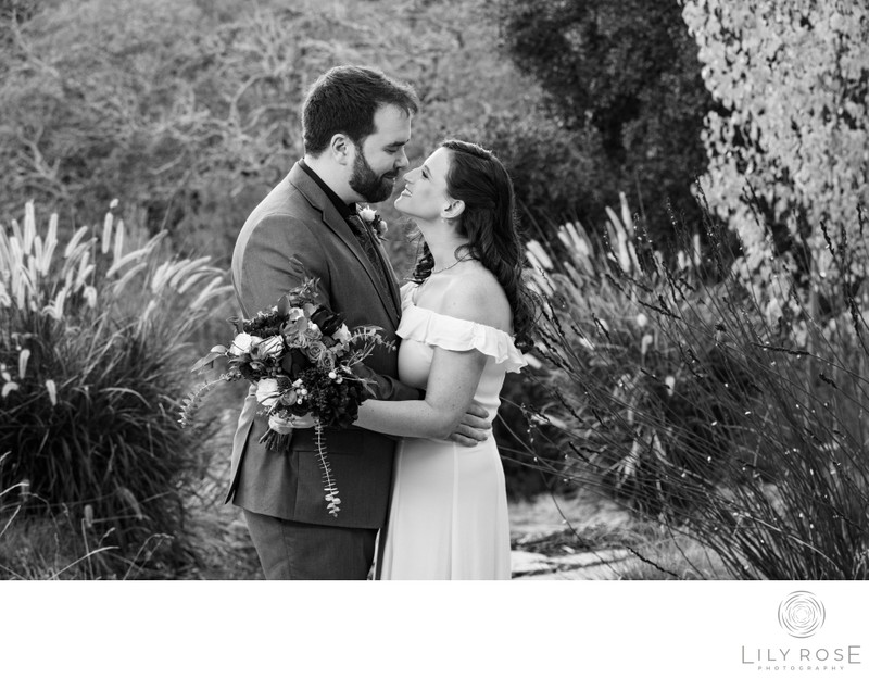 Sonoma Intimate and Micro Wedding Photography