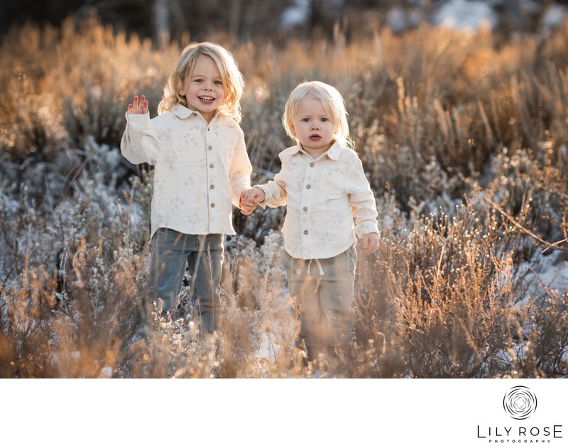 Family Portrait Photographer Napa Family Portrait Photographer Napa