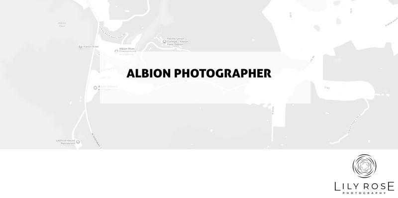 Albion Wedding and Portrait Photographers Albion Wedding and Portrait Photographers