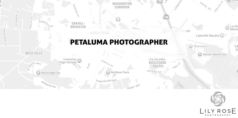 Petaluma Wedding and Portrait Photographers Petaluma Wedding and Portrait Photographers