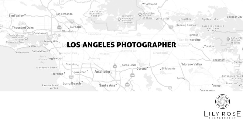 Los Angeles Wedding and Portrait Photographers Los Angeles Wedding and Portrait Photographers