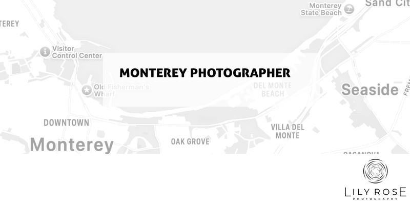 Monterey Wedding and Portrait Photographers Monterey Wedding and Portrait Photographers