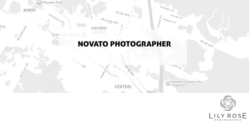 Novato Wedding and Portrait Photographers Novato Wedding and Portrait Photographers