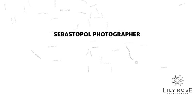Sebastopol Wedding and Portrait Photographers Sebastopol Wedding and Portrait Photographers