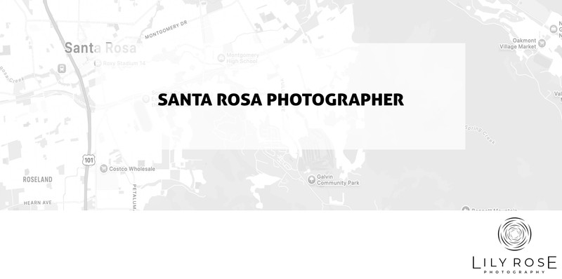 Santa Rosa Wedding and Portrait Photographers Santa Rosa Wedding and Portrait Photographers
