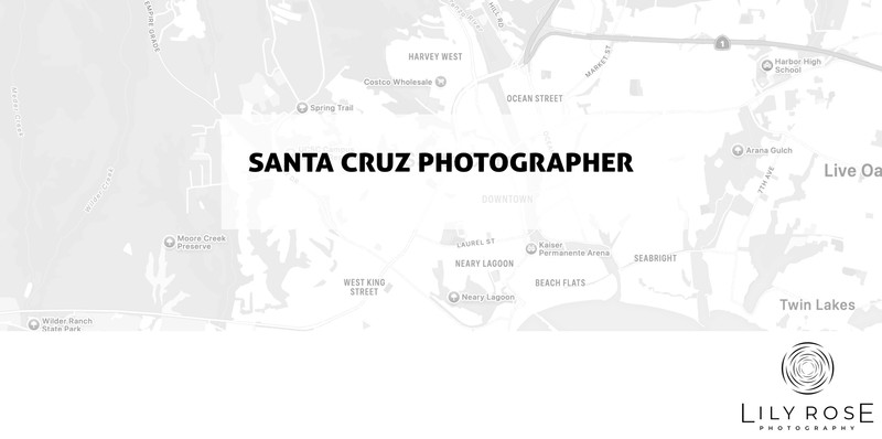 Santa Cruz Wedding and Portrait Photographers Santa Cruz Wedding and Portrait Photographers