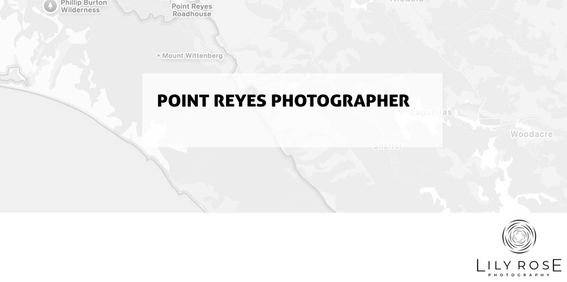 Point Reyes Wedding and Portrait Photographers Point Reyes Wedding and Portrait Photographers