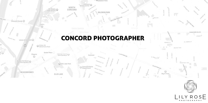 Concord Wedding and Portrait Photographers Concord Wedding and Portrait Photographers